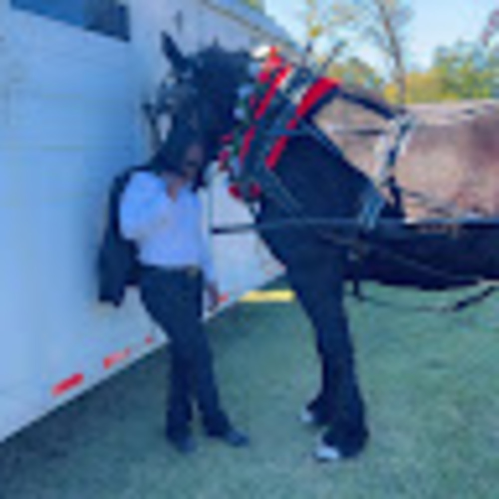 Meet your Posher, Tab